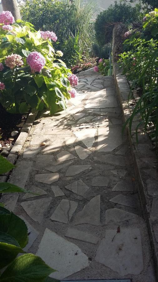 D&m1 Apartment Makarska
