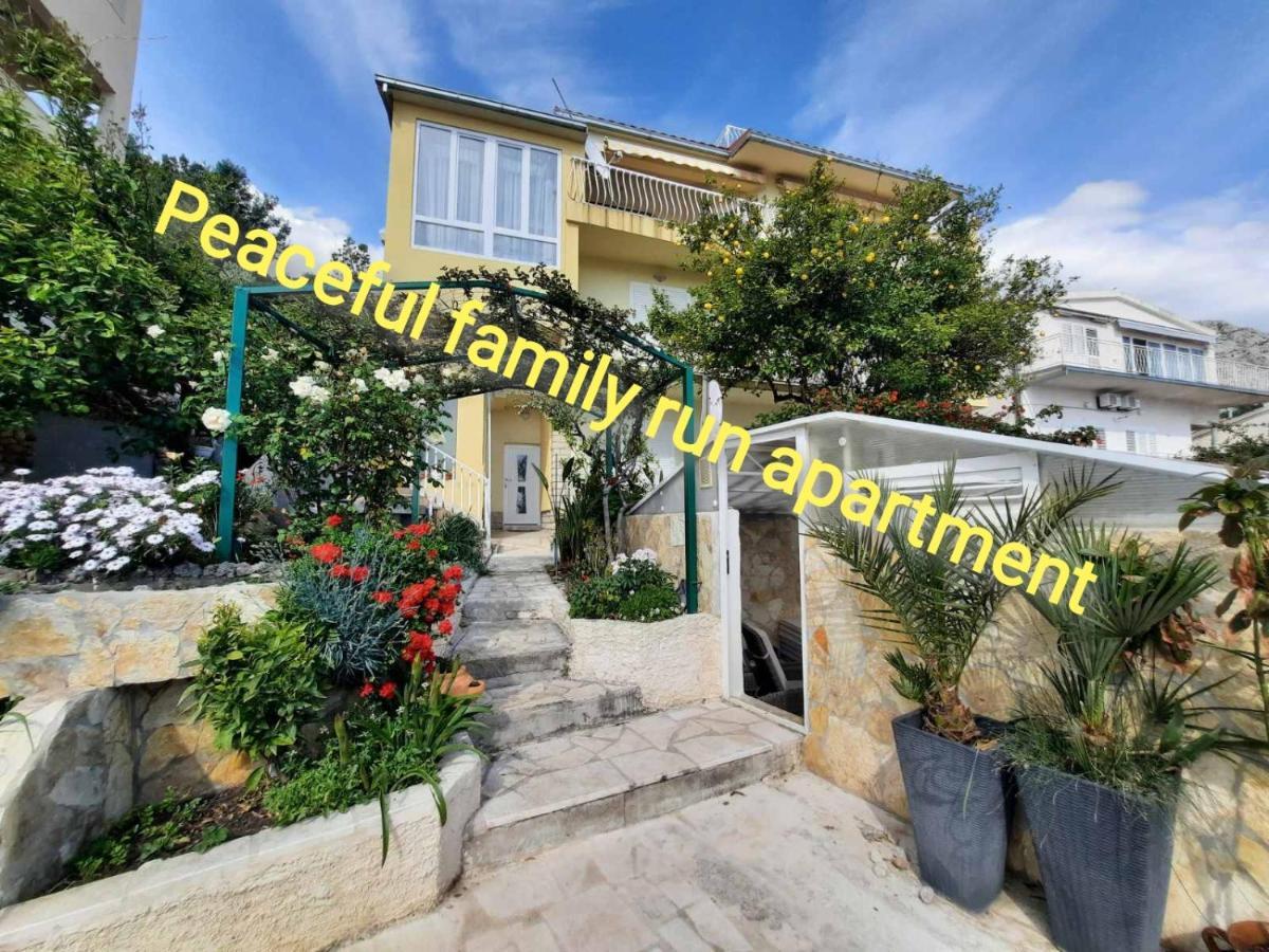 Apartment D&m1 *